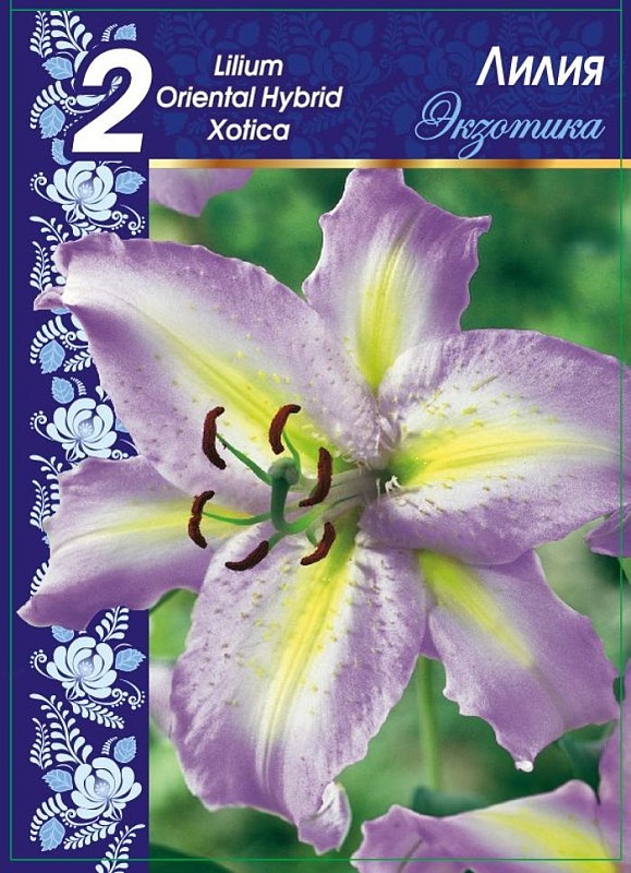 Лилия Экзотика 1 уп. (2 шт.)